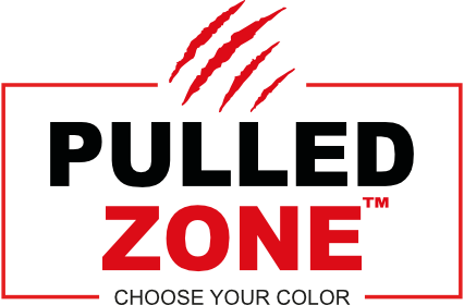 Logo Pulled Zone - Carne Sfilacciata